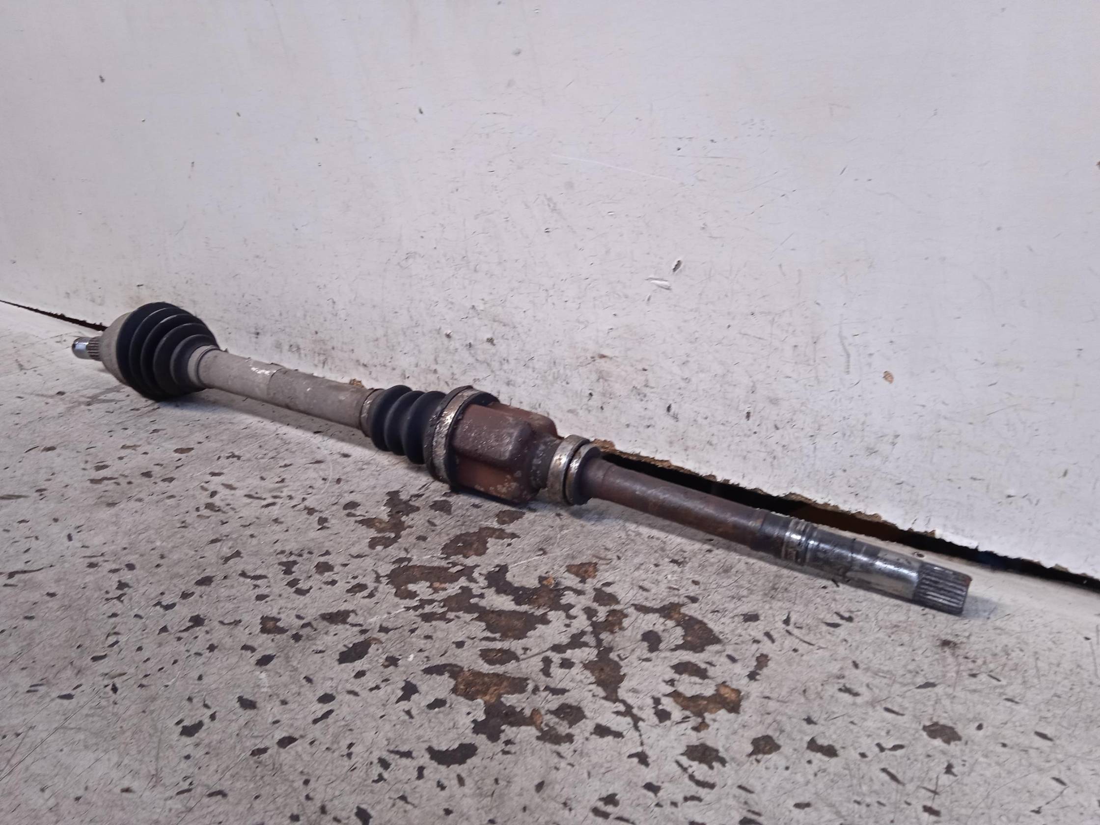 Semialbero ant. compl. dx.